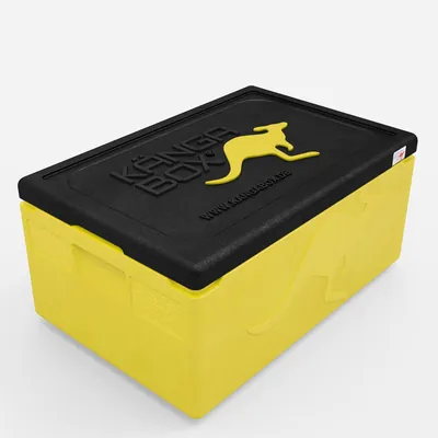 Expert – lemon – 80 L – Bild 1