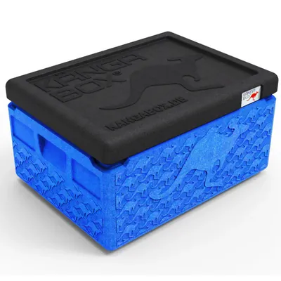 Mini 3