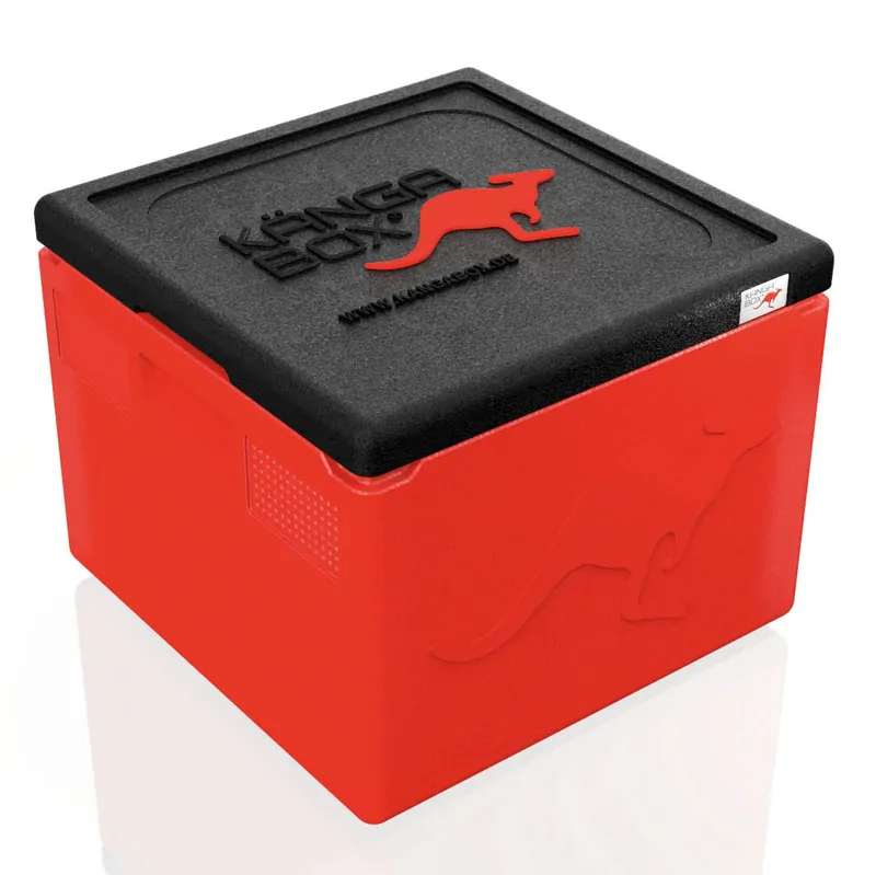 Kängabox Easy rot 21l pic-1