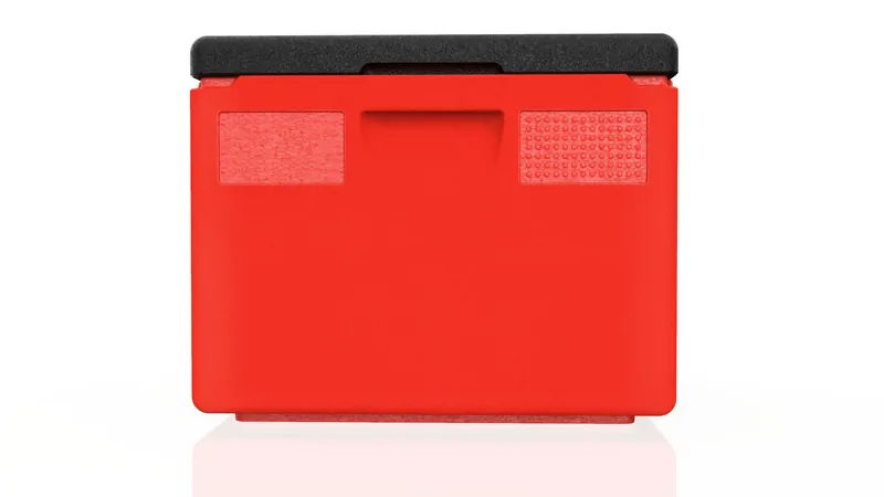 Kängabox Easy rot 21l pic-4