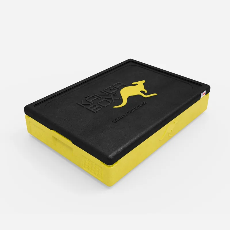 Kängabox Expert GN 1/1 lemon 21l pic-1
