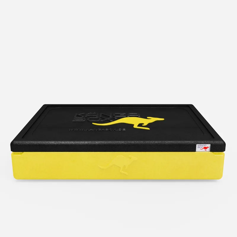 Kängabox Expert GN 1/1 lemon 21l pic-3