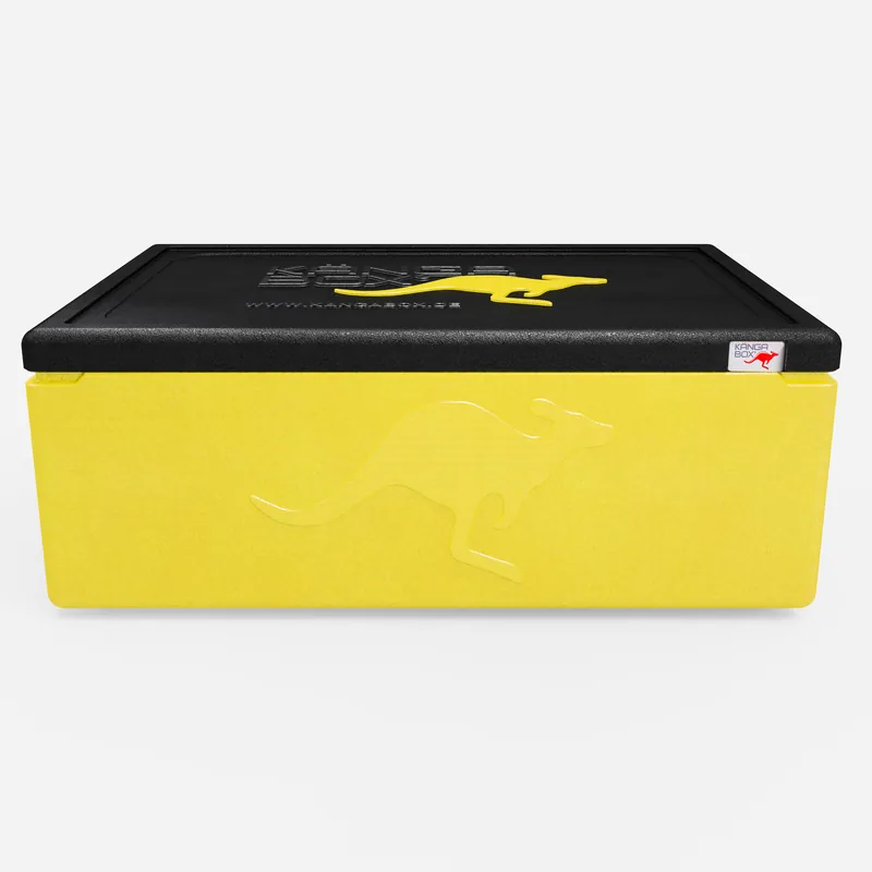 Kängabox Expert GN 1/1 lemon 53l pic-3