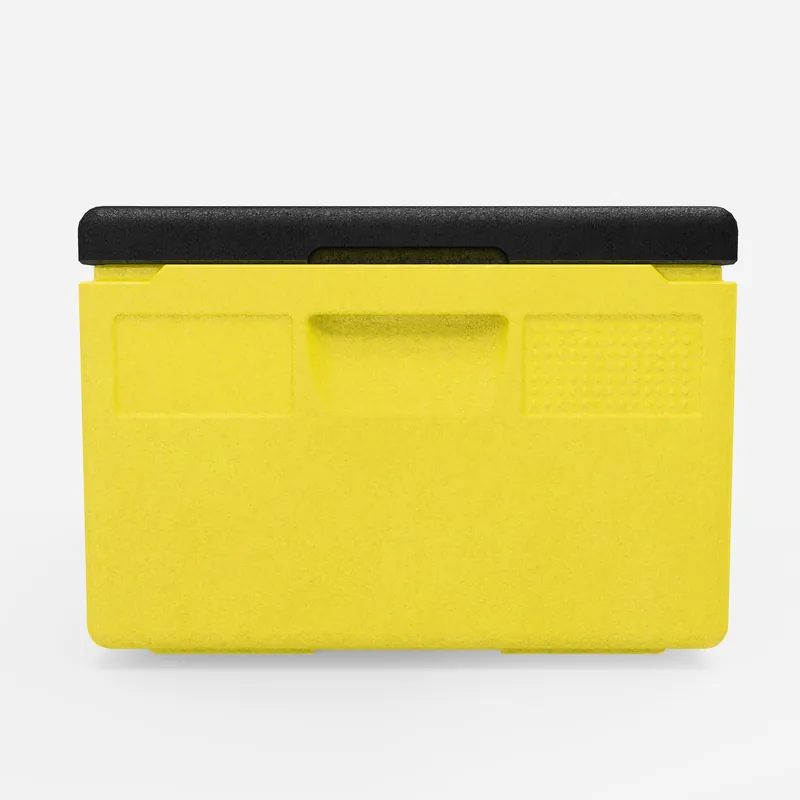 Kängabox Expert GN 1/1 lemon 80l pic-4