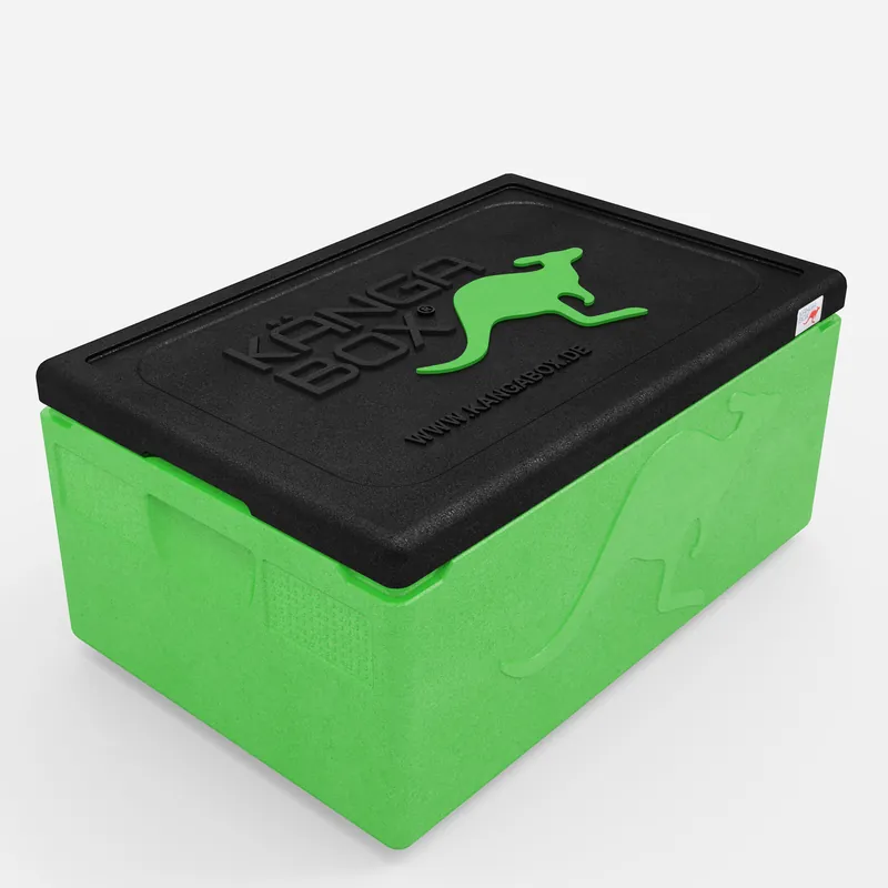 Kängabox Expert GN 1/1 lime 80l pic-1