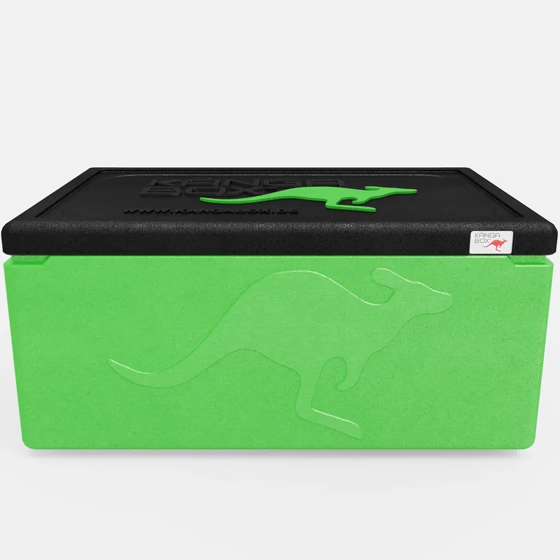 Kängabox Expert GN 1/1 lime 80l pic-3