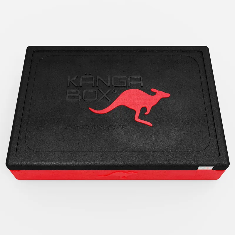 Kängabox Expert GN 1/1 rot 21l pic-5
