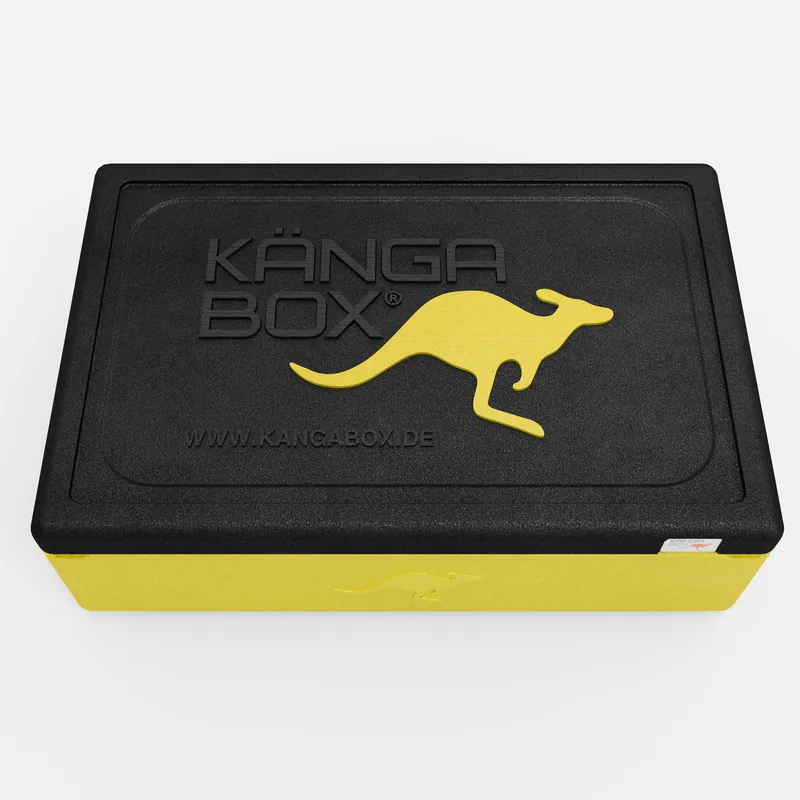 Kängabox Expert GN 1/1 lemon 21l pic-5