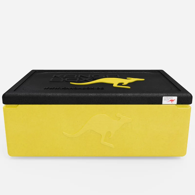 Kängabox Expert GN 1/1 lemon 30l pic-3
