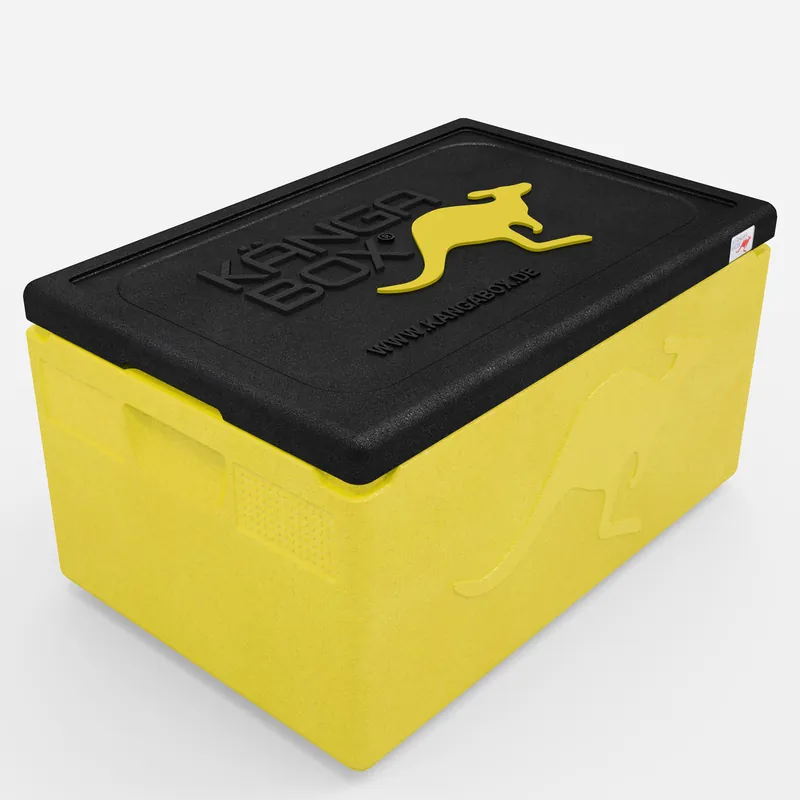Kängabox Expert GN 1/1 lemon 46l pic-1