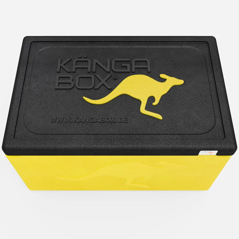Kängabox Expert GN 1/1 lemon 46l pic-5