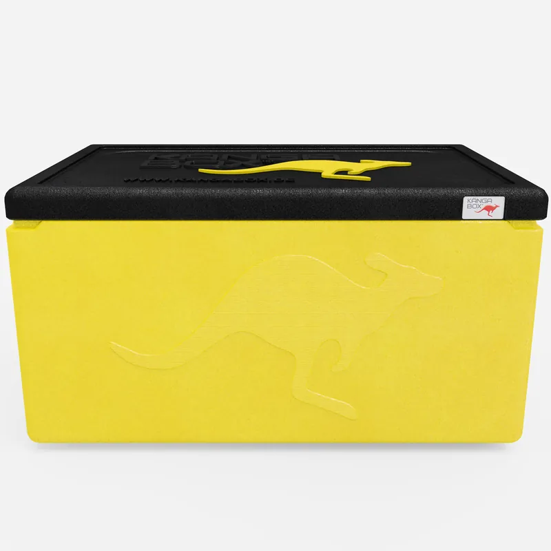 Kängabox Expert GN 1/1 lemon 46l pic-3