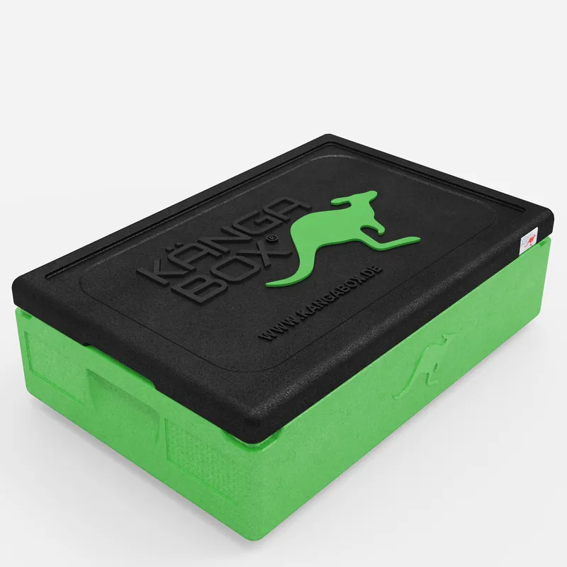 Kängabox Expert GN 1/1 lime 21l pic-1