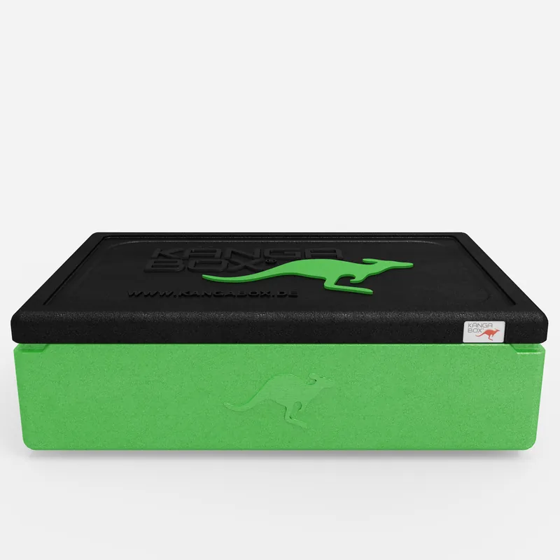 Kängabox Expert GN 1/1 lime 21l pic-3