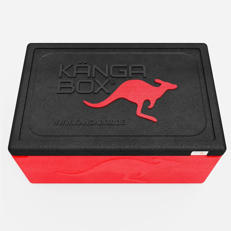 Kängabox Expert GN 1/1 rot 39l pic-5