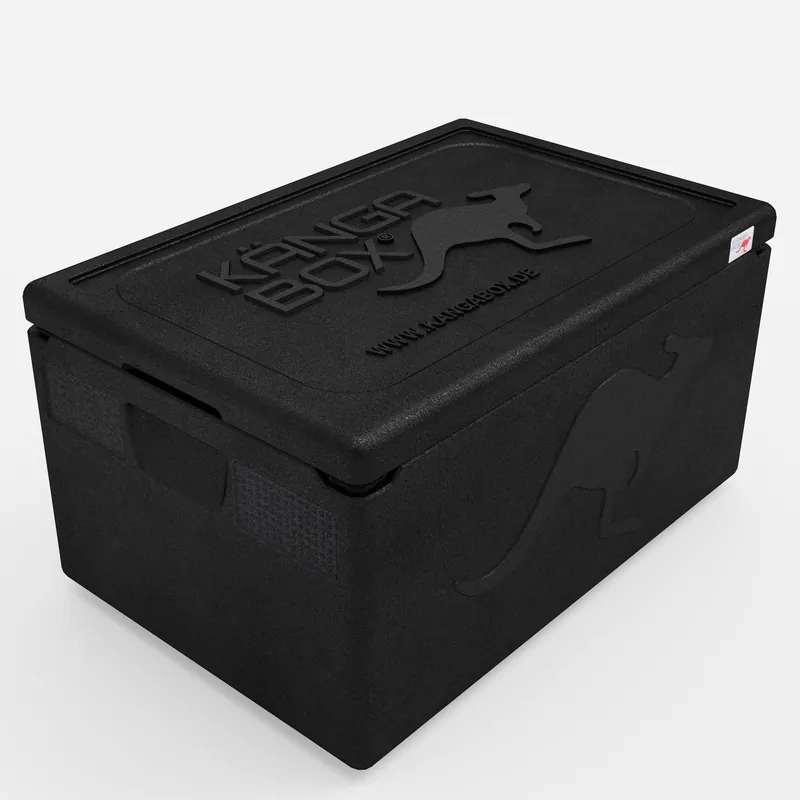 Kängabox Expert GN 1/1 schwarz 46l pic-1