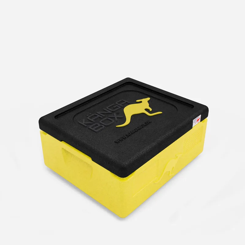 Kängabox Expert GN 1/1 lemon 10l pic-1