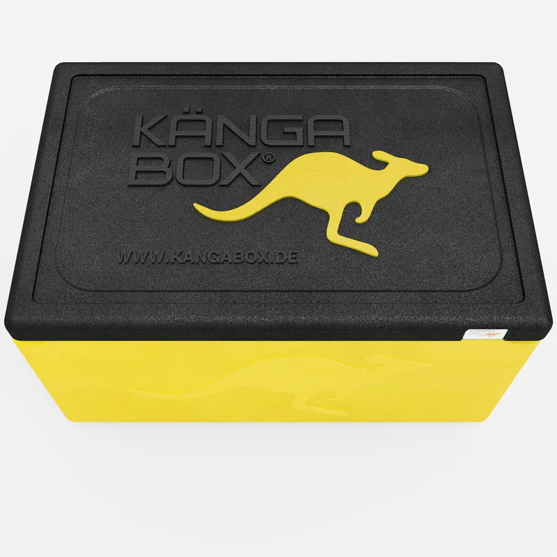 Kängabox Expert GN 1/1 lemon 10l pic-5