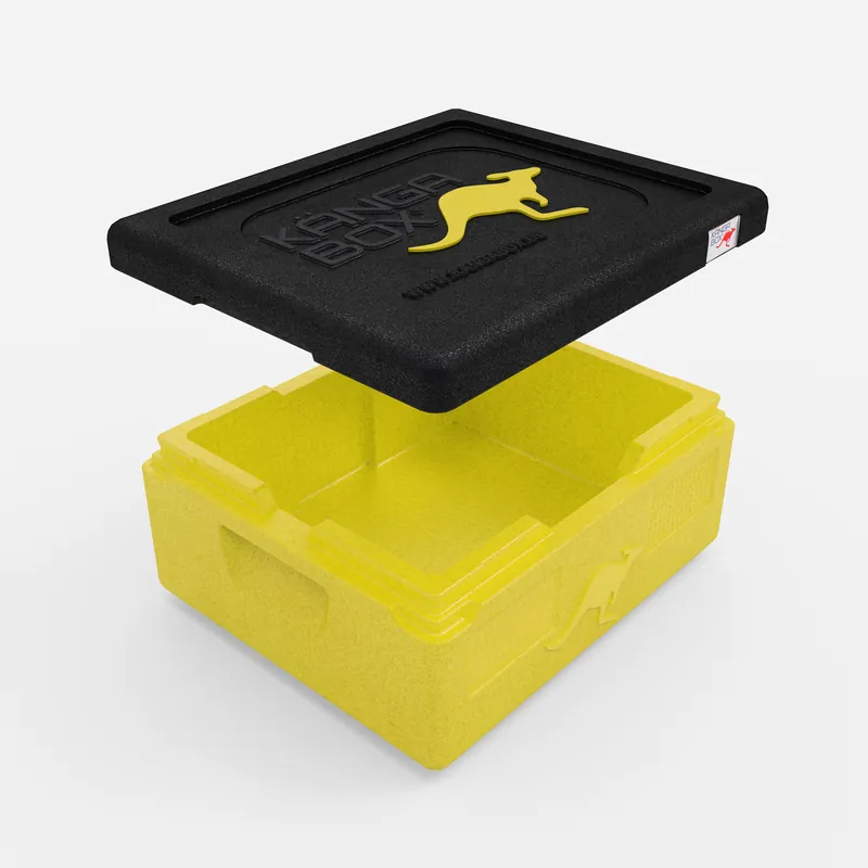 Kängabox Expert GN 1/1 lemon 10l pic-2