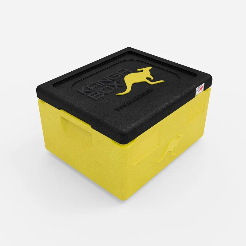 Kängabox Expert GN 1/1 lemon 15l pic-1