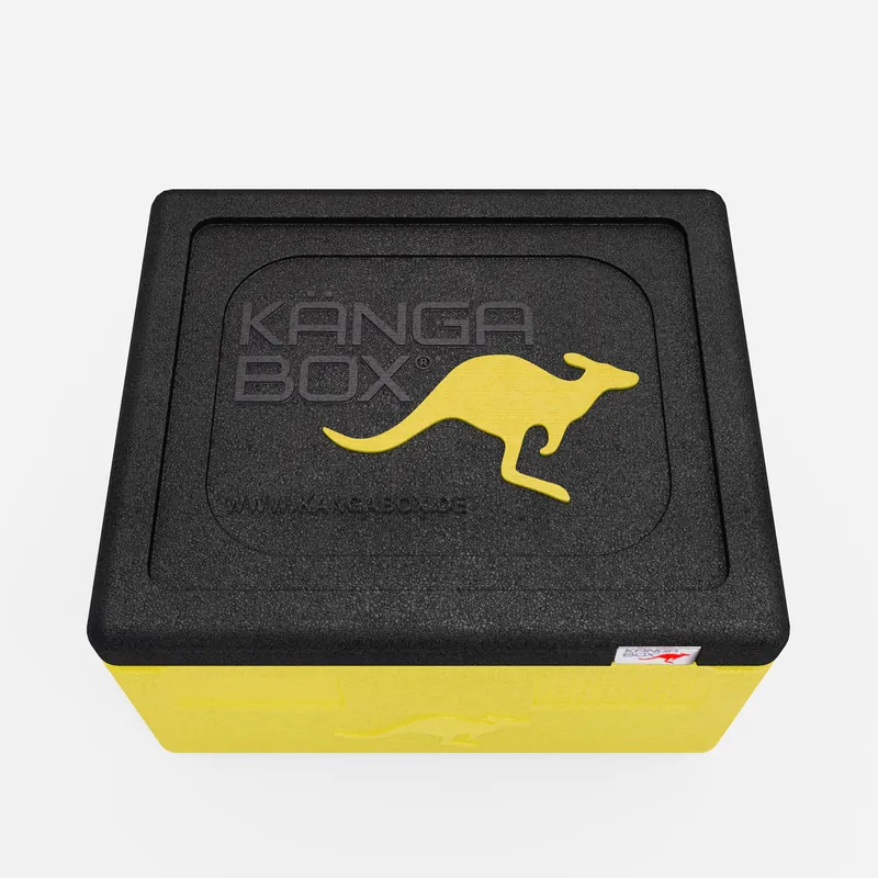 Kängabox Expert GN 1/1 lemon 15l pic-5