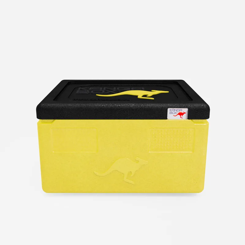 Kängabox Expert GN 1/1 lemon 15l pic-3