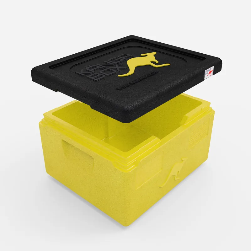 Kängabox Expert GN 1/1 lemon 15l pic-2
