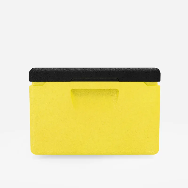 Kängabox Expert GN 1/1 lemon 15l pic-4
