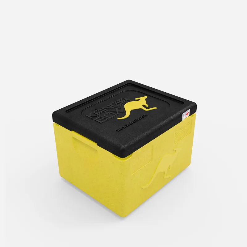 Kängabox Expert GN 1/1 lemon 19l pic-1