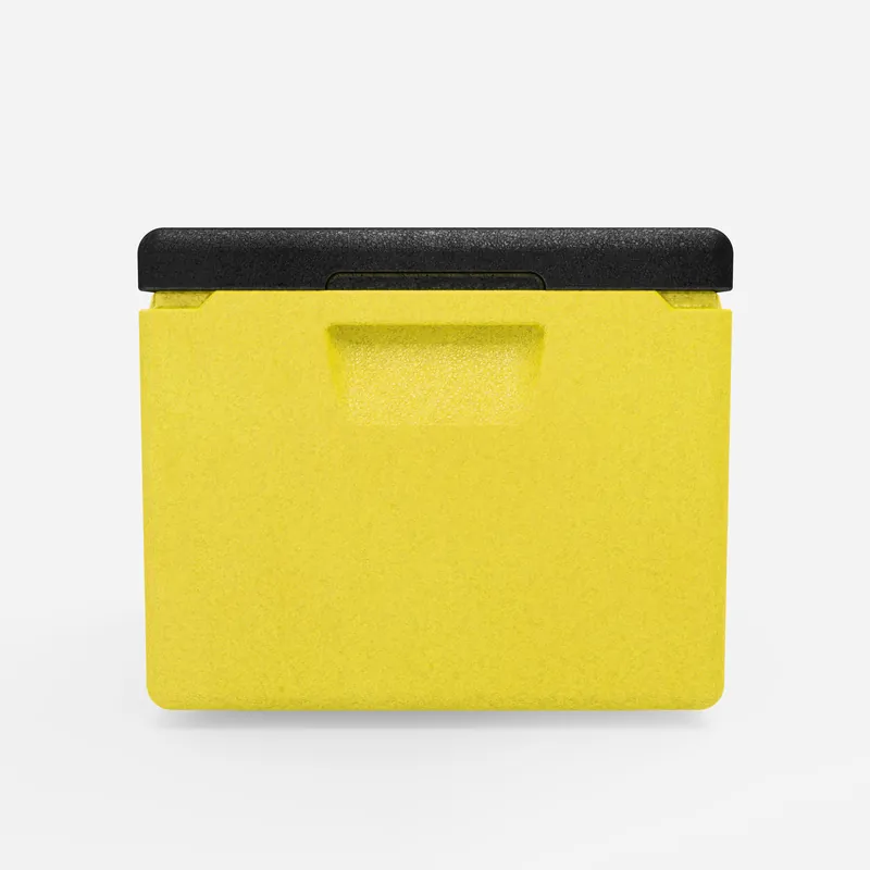 Kängabox Expert GN 1/1 lemon 19l pic-4