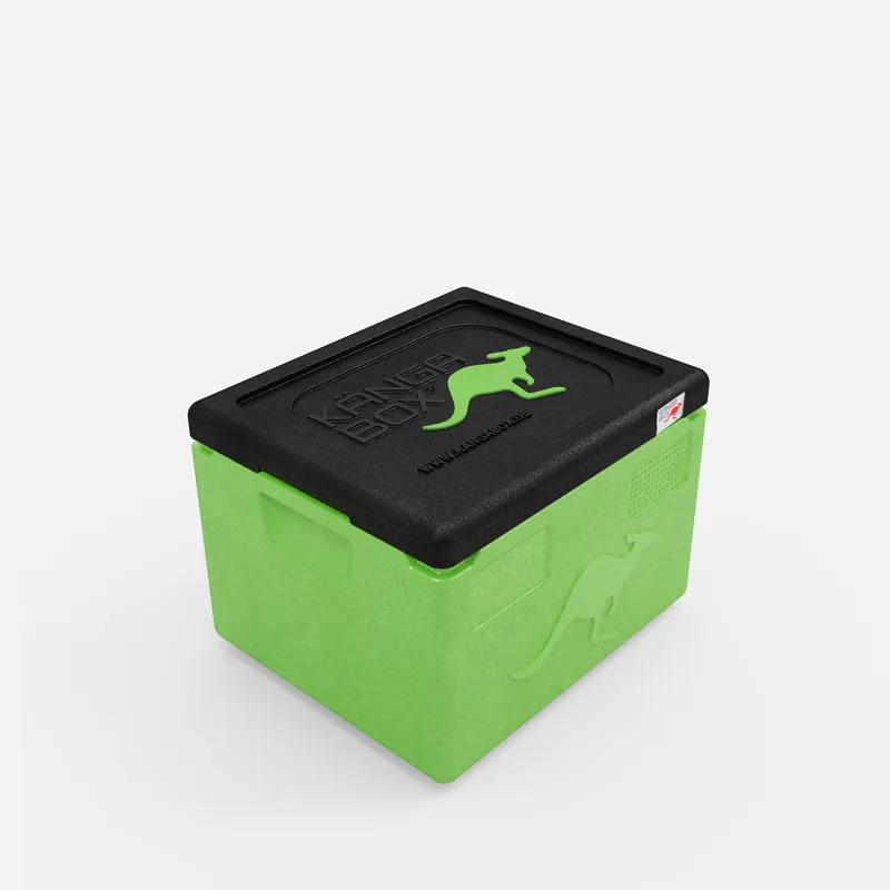 Kängabox Expert GN 1/1 lime 19l pic-1