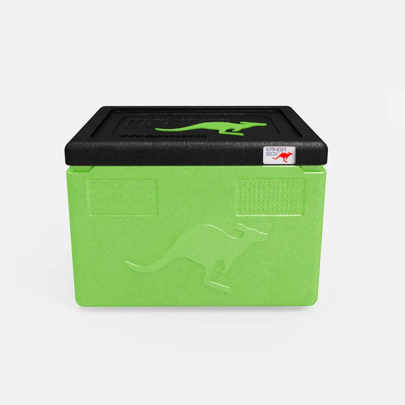 Kängabox Expert GN 1/1 lime 19l pic-3