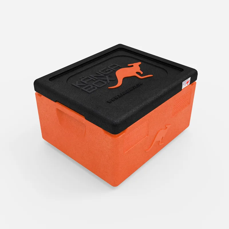 Kängabox Expert GN 1/1 orange 15l pic-1
