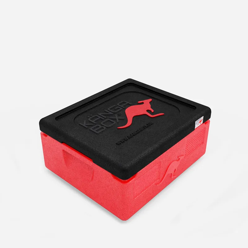 Kängabox Expert GN 1/1 rot 10l pic-1