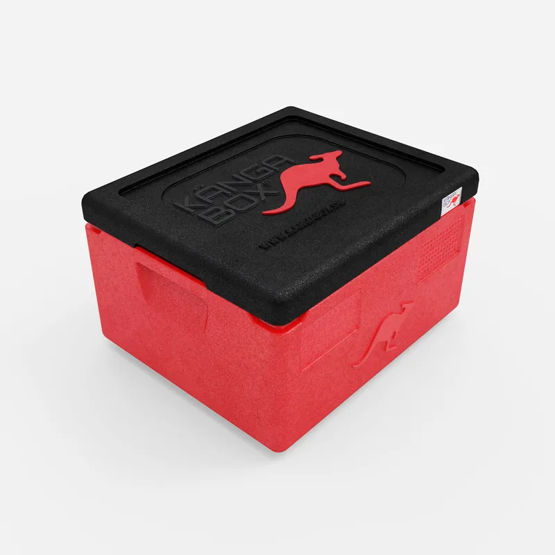 Kängabox Expert GN 1/1 rot 15l pic-1
