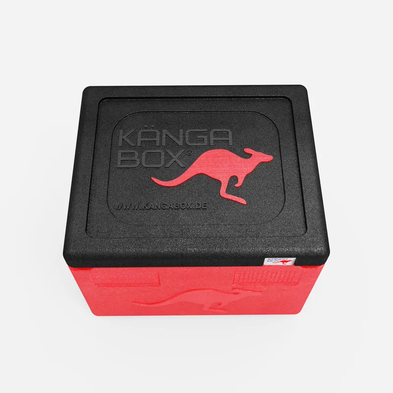 Kängabox Expert GN 1/1 rot 19l pic-5