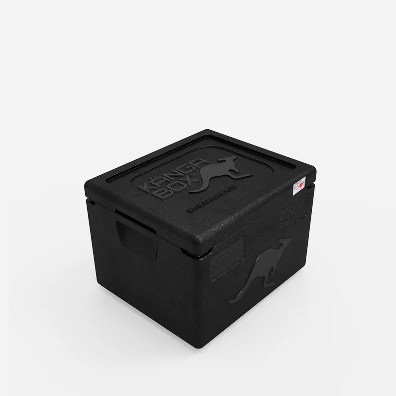 Kängabox Expert GN 1/1 schwarz 19l pic-1