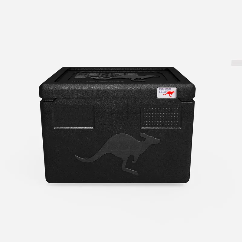 Kängabox Expert GN 1/1 schwarz 19l pic-3