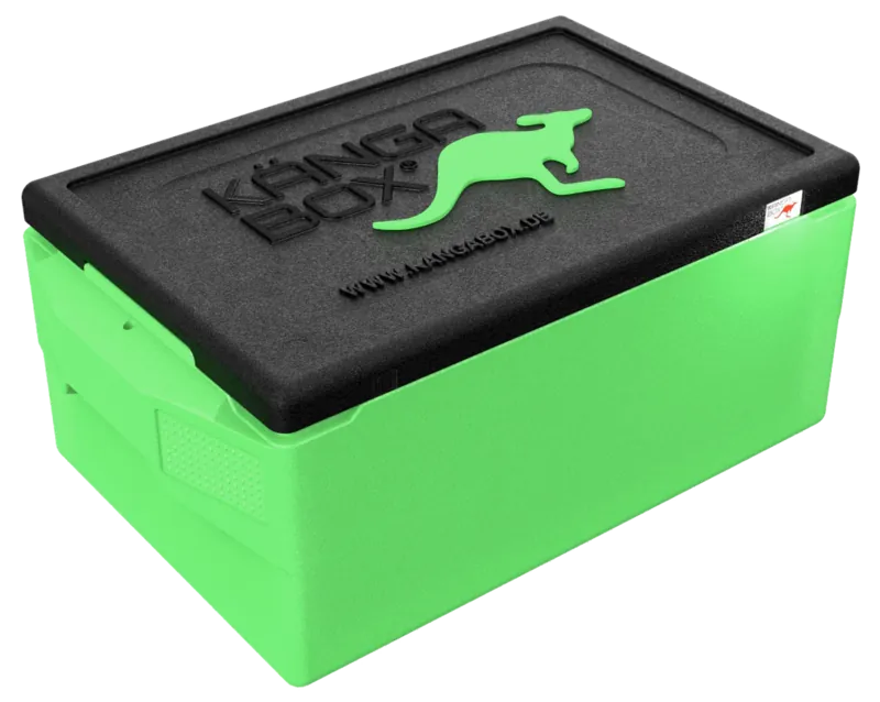 Kängabox Professional GN 1/1 lime 39l pic-1