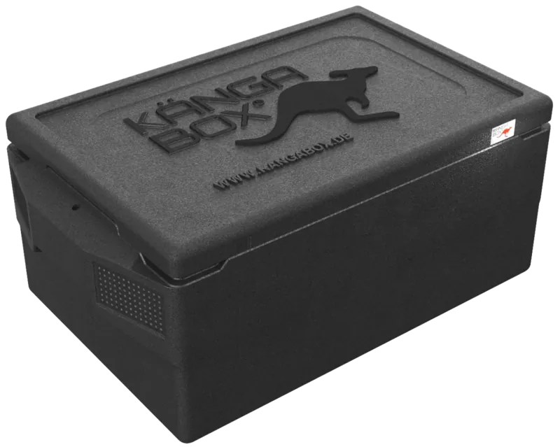Kängabox Professional GN 1/1 schwarz 39l pic-1