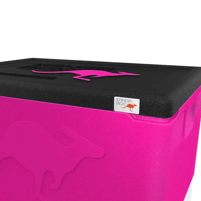 Kängabox Professional GN 1/1 magenta 48l pic-2