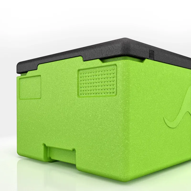 Kängabox Professional GN 1/1 lime 39l pic-2