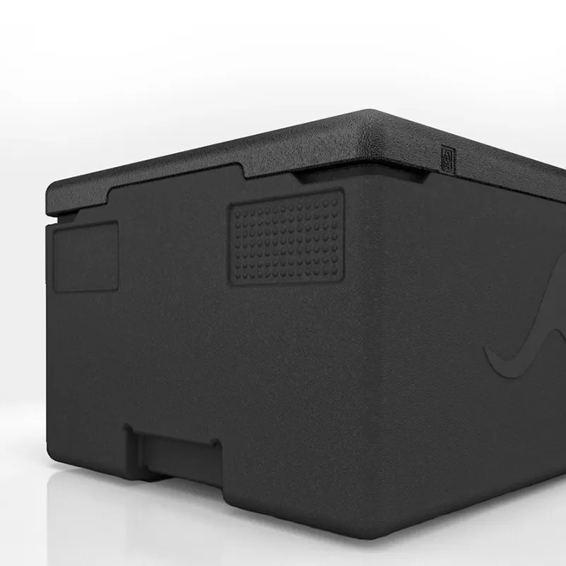 Kängabox Professional GN 1/1 schwarz 39l pic-2